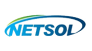 Netsol非易性存储Parallel STT-MRAM系列